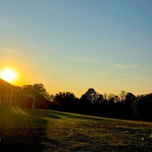 Meet your Posher, cindi